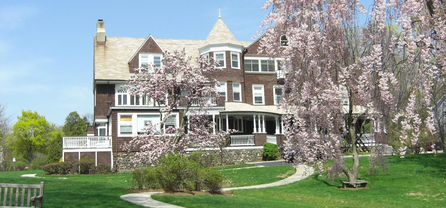 Spring blossoms along the front lawn